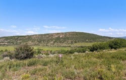 32095 JUDGES VIEWPOINT, Oak Creek, CO 80467