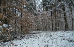 Fuller Harding Road lot: Parcel K, Campbellsville, KY 42718