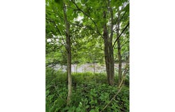15 Simms Road, Chateaugay, NY 12920