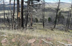 Soubry Pl, Fort Garland, CO 81133