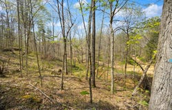 000 Martha Stockton Road, Albany, KY 42602