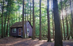 10051-55 Frost Rd, Dansville, NY 14437