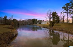 37 COUNTY ROAD 825, CLANTON, AL 35045