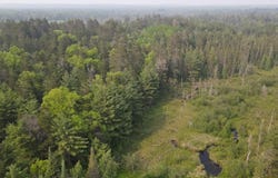 Parcel B Cherry Creek Trail, Grayling, MI 49738