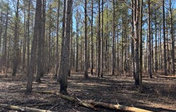 0 County Road 151, Okolona, MS 38860