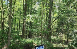 237 FOX RUN Drive, Hopkins, SC 29061