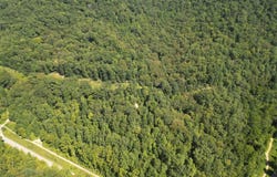 0 Honey Camp Road, Nellis, WV 25142