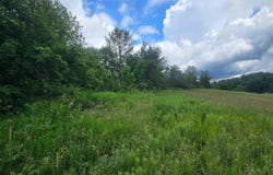 Lashure Rd., Gouverneur, NY 13642