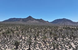 TBD Diamond Bar Road, Meadview, AZ 86444