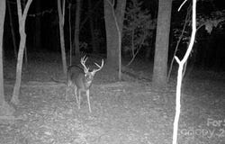 Tbd Southfork Road, Lincolnton, NC 28092