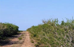 132 Mesquite Spur, George West, TX 78022