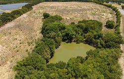 Tbd FM-1390, Scurry, TX 75158