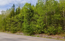 Lot 14 Grant Road, Orono, ME 04473