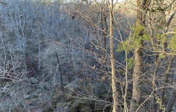 7897 Trace Ridge Road, Leslie, AR 72645