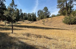 NHN Bay Horse Road, WY 82725