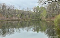 Walkaloosa Way unit: 19, Mooresboro, NC 28114