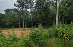 248 N Norris St, Jamestown, TN 38556