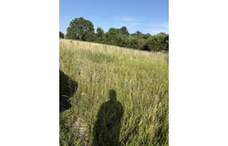 150 Gaines Avenue, Owenton, KY 40359