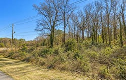 4136 Thurman Road, Forest Park, GA 30297