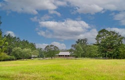 TROY, AL 36081