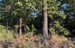 Tract A MC 5056, Everton, AR 72633