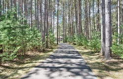 8785 SALLET DR, Minocqua, WI 54548