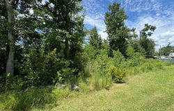 98 Holly Isles-Harvel Pond Rd, Donalsonville, GA 39845