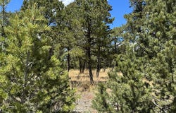 17 Wild Wings Circle, Pecos, NM 87552