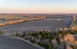000 Country Road 3240, Ben Franklin, TX 75415
