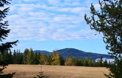 Nhn Timber Meadows Lane, Trout Creek, MT 59874