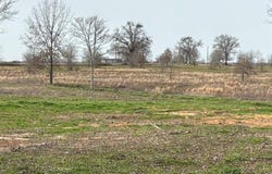 Tbd County Road 2425, Como, TX 75431