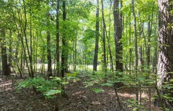 130 Lakeshore, Eatonton, GA 31024
