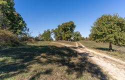 County Road 1130, Willow Springs, MO 65793