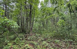 000 Beckley Rd., Camp Creek, WV 25820