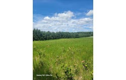 145th, Eagle Bend, MN 56446