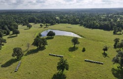 TBD Walker Ln, Huntsville, TX 77320