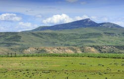 11388 CR 101, Craig, CO 81653