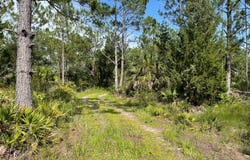 TBD Yates Creek Road, Perry, FL 32348