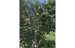 13-2056 LOLIA PL, Pahoa, HI 96778