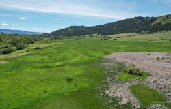 Council-Cumprum, Council, ID 83612