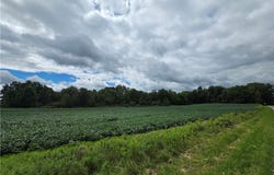 Norton Road, Garrettsville, OH 44231