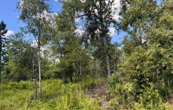 LOT71 NW CR 152, Jennings, FL 32053