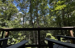 1257 Seymour, Bowman, GA 30624