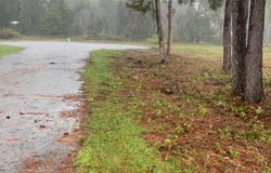 LT 28 NW VENUS GLN, Lake City, FL 32055