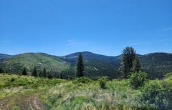 12 DIGNITY RANCH RD, MALO, WA 99150