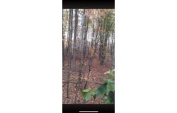 00000 CR 673, Lawrence, MI 49064