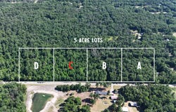 Par C W Almy Road, Howard City, MI 49329