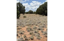 104 N  5532, Concho, AZ 85924