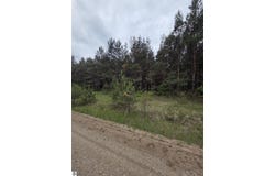 County Line Road, Kingsley, MI 49649