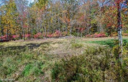 Sisson Hill Rd, New Marlborough, MA 01244